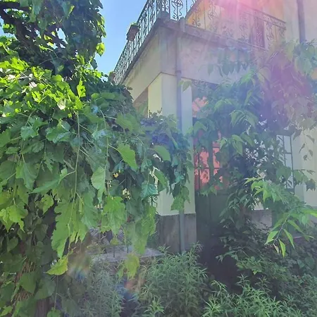 In - Balaton 38090 アパート *