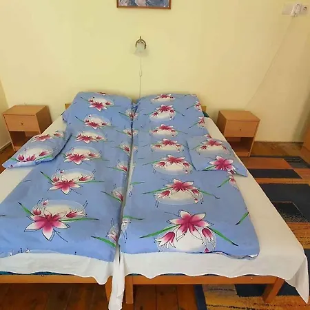 In - Balaton 38090 Apartment